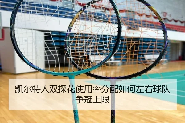 凯尔特人双探花使用率分配如何左右球队争冠上限