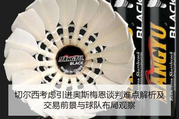 切尔西考虑引进奥斯梅恩谈判难点解析及交易前景与球队布局观察