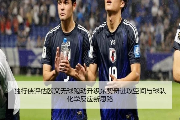 独行侠评估欧文无球跑动升级东契奇进攻空间与球队化学反应新思路